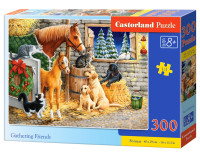 300 штук головоломки, що збирає друзів CASTORLAND B-030255