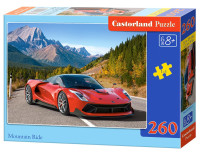 260 ш Головоломка Mountain Ride CASTORLAND B-27477