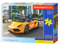 100 ш Головоломка Arrinera Hussarya 33 CASTORLAND B-111015