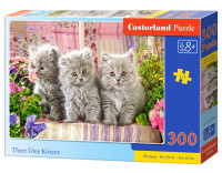 300 ш Логічні три сірих кошеняти CASTORLAND B-030330