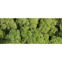 Декоративне оздоблення: 125Г мох chrobote елене світло PBH PENTACOLOR