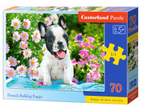 Елемент головоломки 70 у французькому цуценяті бульдога CASTORLAND B-070152