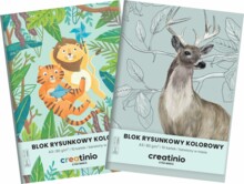 Creatinio A3 Drawing Block 10 кольорових карт