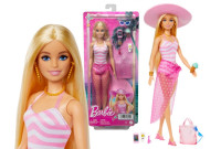 BRB DZIE НА BARBIE HPL73 WB4 PLAZA