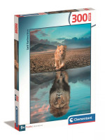 Клементоні головоломки 300 штук Нолі саморефлексії 21719