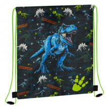 Сумка для взуття Dino STARPAK 550836