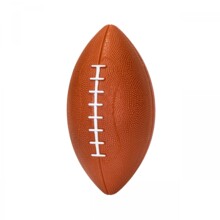 ЗАБ ДЛЯ СОБАКИ РЕГБІ М'ЯЧ СКРИП 21CM