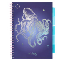 Kolozeszyt A4/100k сітка прив'язка ПП 80г Восьминіг ВМС STRIGO PADS048