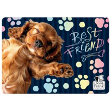 PP 290X400 КЛЕО І ФРАНК 44 ДЕРФ СТОЛ МАТ