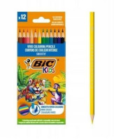 12kol Діти Еко Гладкі олівці BIC 525786