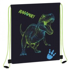 Сумка для взуття T-Rex STARPAK 576244