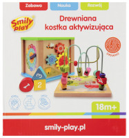 Дерев'яний навчальний куб +аксесуари 20х19х18 SMILY PLAY SP84944