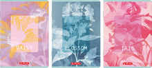 НОУТБУК HERLITZ STANDARD BLOSSOM B5/80K, СІТКА З ПОЛЕМ