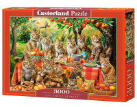 Головоломка 3000 el. Cat Family Reunion CASTORLAND C-300730-2